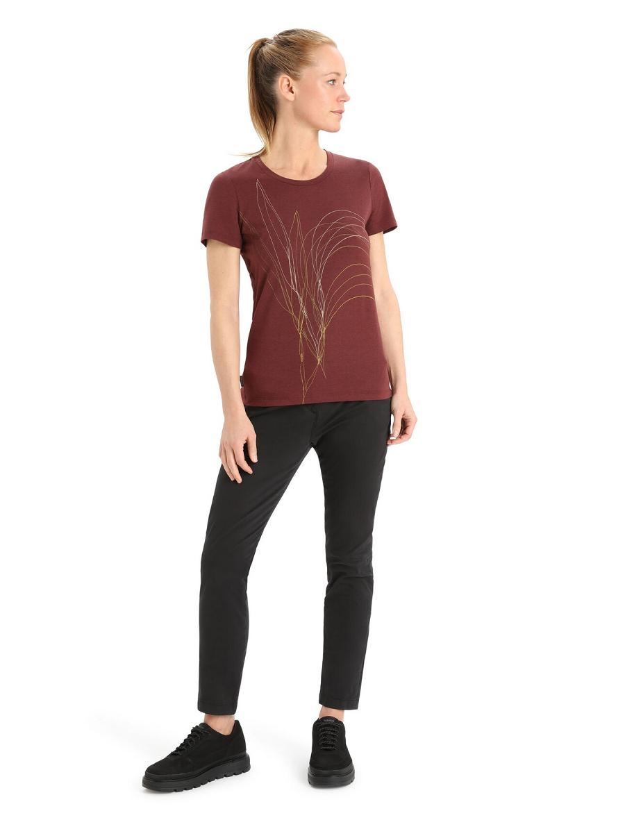 Women's Icebreaker Merino Central Classic Short Sleeve Leaf T Shirts Espresso | CA 1387UZGT